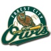 Forest City Owls Logo