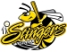Willmar Stingers Primary Logo