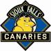 Sioux Falls Canaries Logo 2013