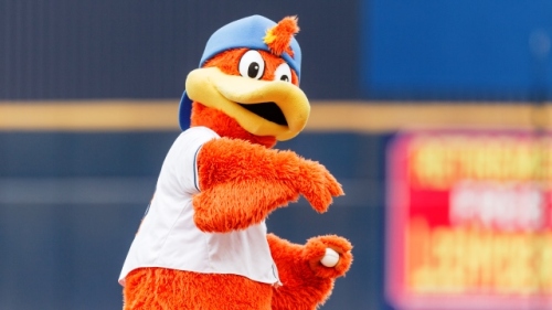 Webster may want to pitch for the RubberDucks, but that move isn't among the front office changes announced by the team on Oct. 1. (David Monseur)