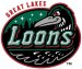 Great Lakes Loons New Primary Logo